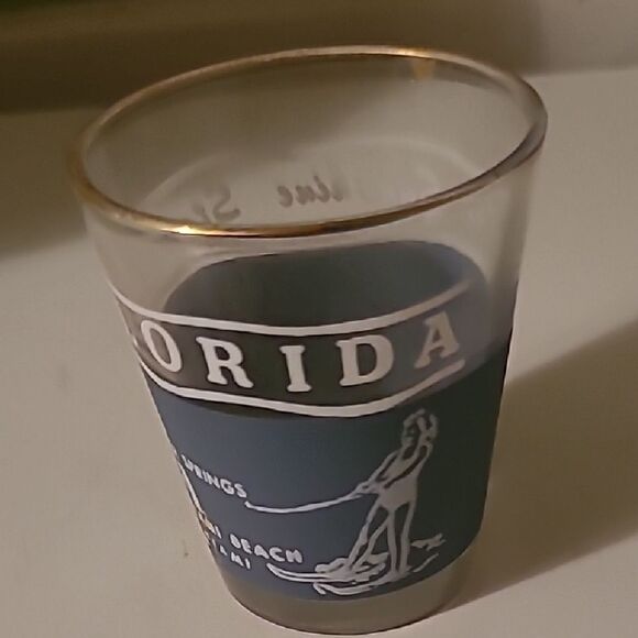 Florida Souvenir Shot Glass with Blue Design - Picture 1 of 4
